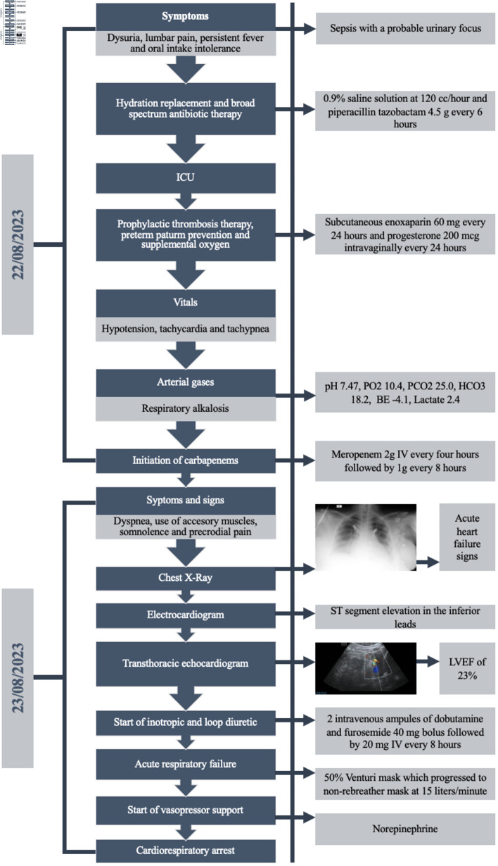 Peripartum Cardiomyopathy: A Case Report of Mortality From a Rare and Potentially Fatal Condition.