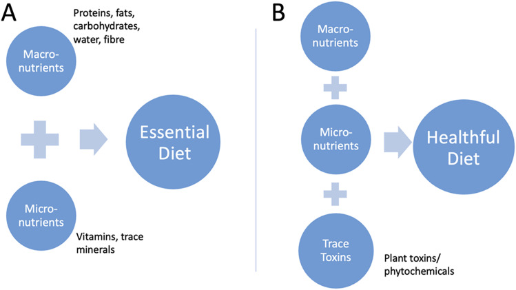 Trace Toxins: The Key Component of a Healthful Diet.