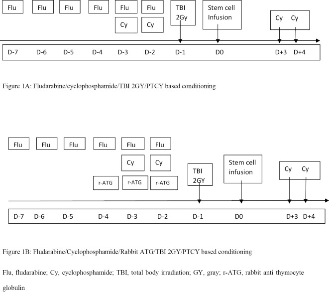 Haploidentical hematopoietic stem cell transplantation with post-transplant cyclophosphamide for Fanconi anemia with/without anti-thymocyte globulin.