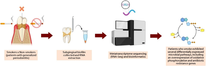 Metatranscriptomic analysis shows functional alterations in subgingival biofilm in young smokers with periodontitis: a pilot study.