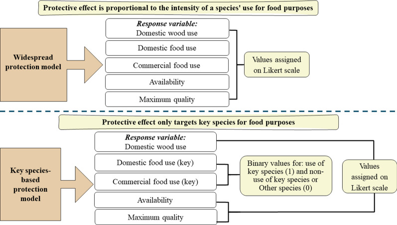 Conservation of wild food plants from wood uses: evidence supporting the protection hypothesis in Northeastern Brazil.