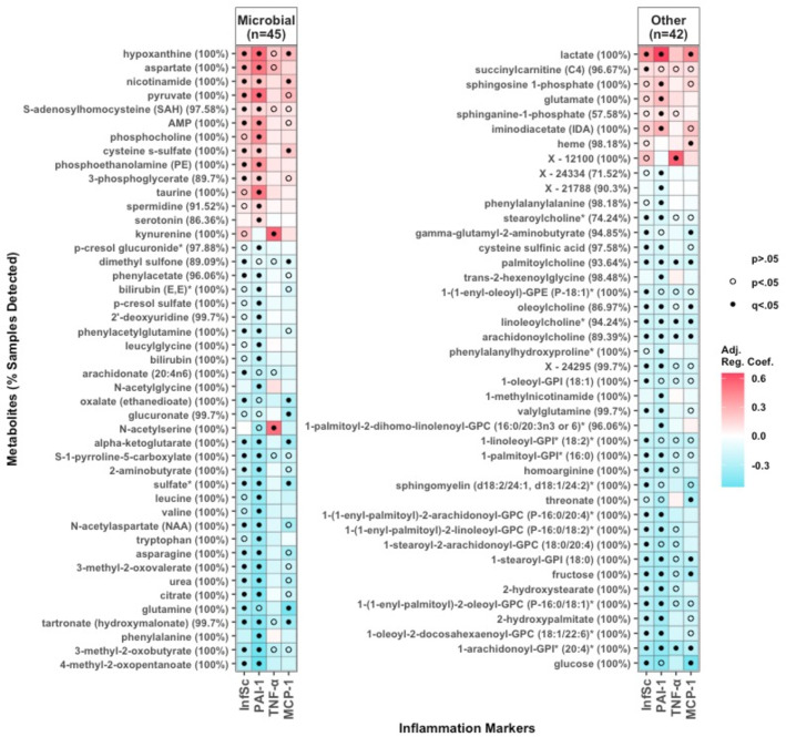 Associations of gut microbiota features and circulating metabolites with systemic inflammation in children.