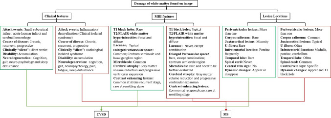 White matter disease derived from vascular and demyelinating origins.