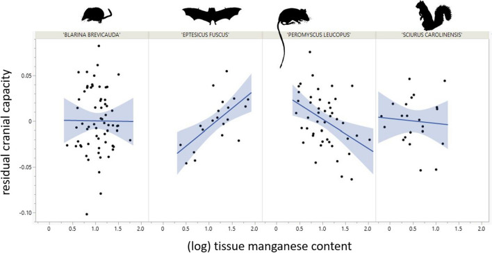 Pronounced declines in heavy metal burdens of Minnesotan mammals over the last century.