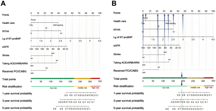 Web-Based Dynamic Nomogram for Predicting Risk of Mortality in Heart Failure with Mildly Reduced Ejection Fraction.
