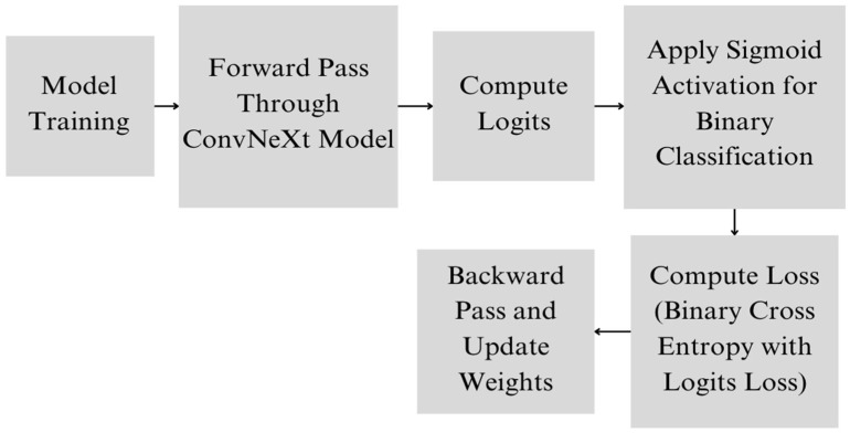 Enhancing Melanoma Diagnosis with Advanced Deep Learning Models Focusing on Vision Transformer, Swin Transformer, and ConvNeXt.