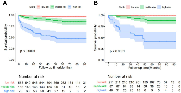 Web-Based Dynamic Nomogram for Predicting Risk of Mortality in Heart Failure with Mildly Reduced Ejection Fraction.