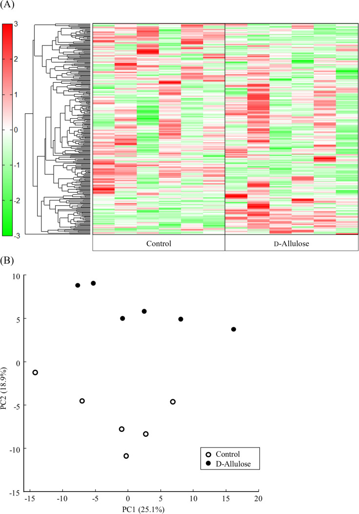 Metabolic Profiling of Rat Kidney Tissue Following Administration of D-Allulose.