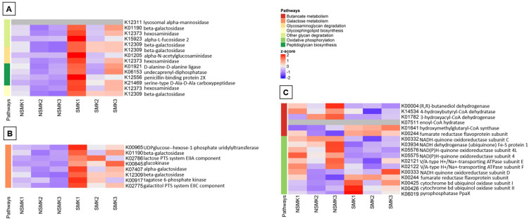 Metatranscriptomic analysis shows functional alterations in subgingival biofilm in young smokers with periodontitis: a pilot study.