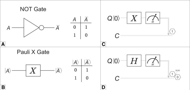 A primer for quantum computing and its applications to healthcare and biomedical research.
