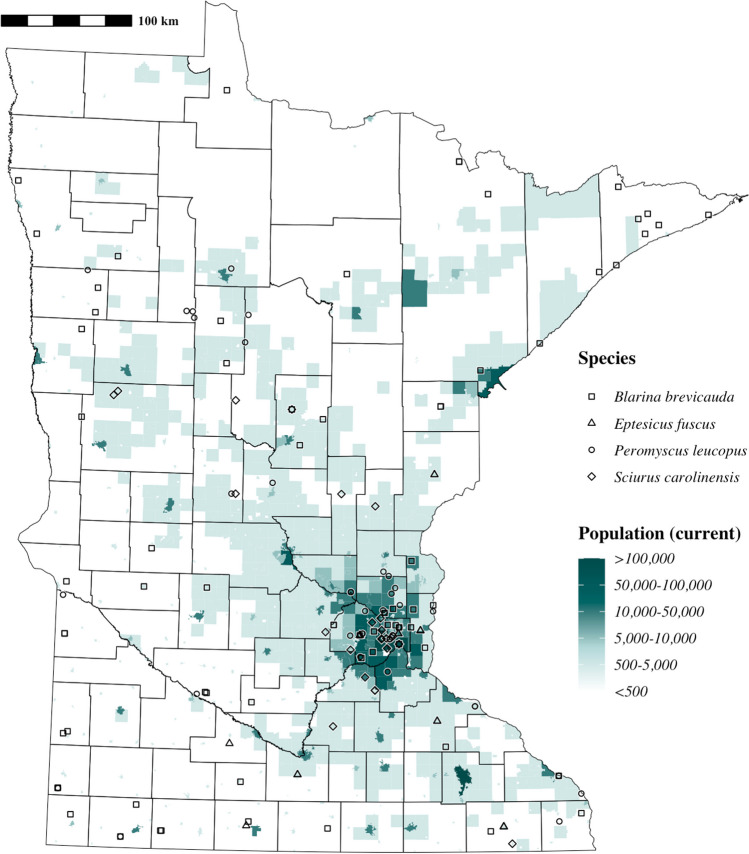Pronounced declines in heavy metal burdens of Minnesotan mammals over the last century.