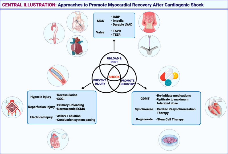Myocardial Recovery in Cardiogenic Shock.