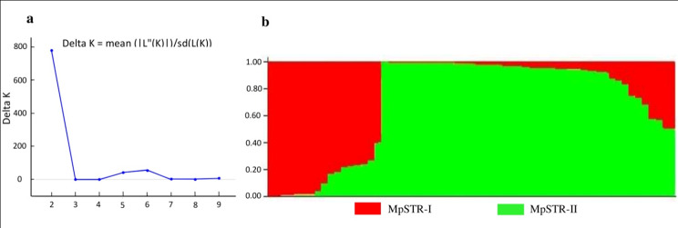 Association mapping of important agronomic traits in Mucuna pruriens (L.) DC.