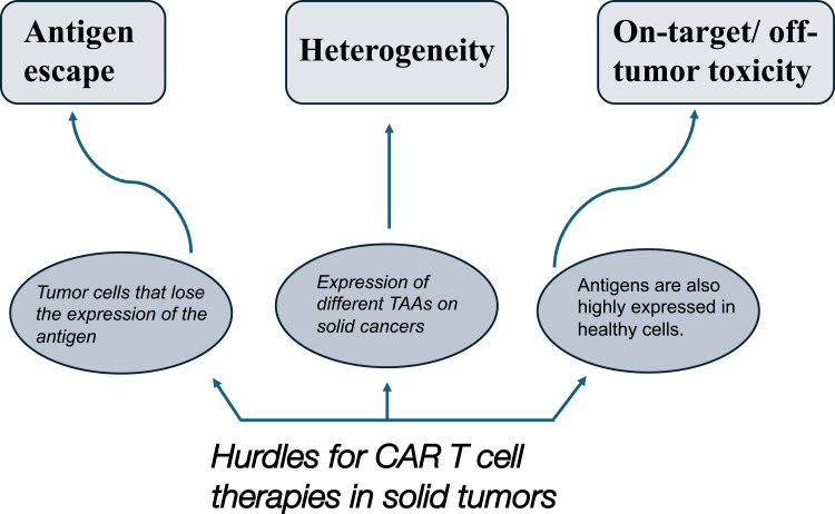 Revolutionizing Immunotherapy: Unveiling New Horizons, Confronting Challenges, and Navigating Therapeutic Frontiers in CAR-T Cell-Based Gene Therapies.