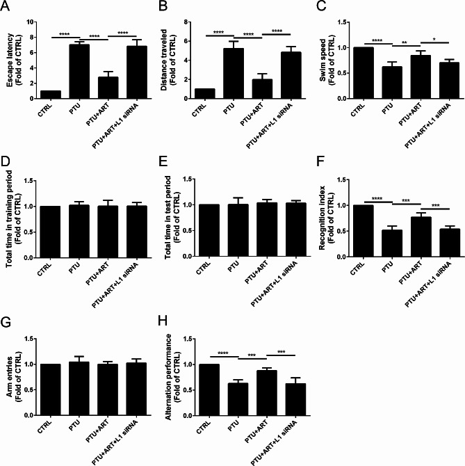 Artemisinin ameliorates thyroid function and complications in adult male hypothyroid rats via upregulation of the L1 cell adhesion molecule.