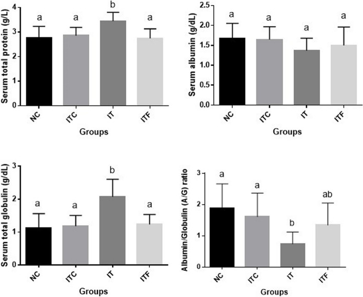 A study on selected responses and immune structures of broiler chickens with experimental colibacillosis with or without florfenicol administration.