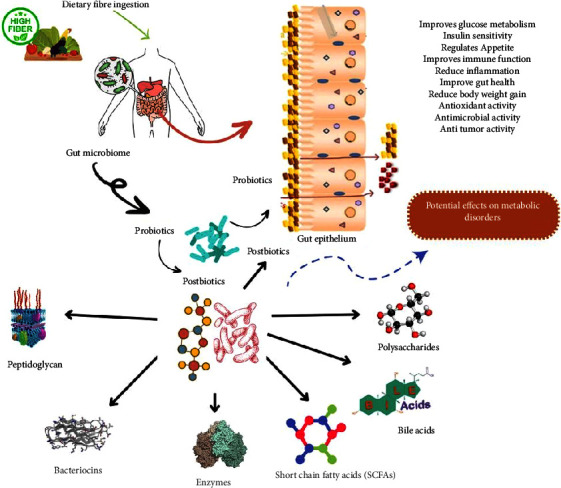 Exploring the Potential of Postbiotics for Food Safety and Human Health Improvement.