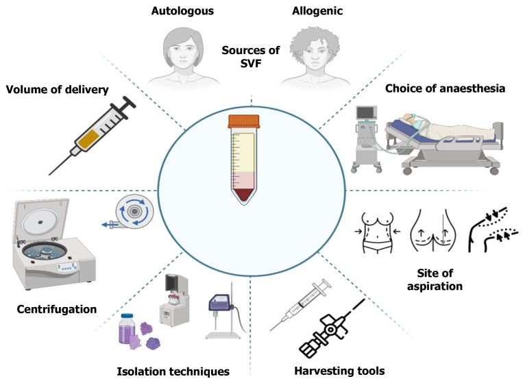 Understanding and controlling the variables for stromal vascular fraction therapy.