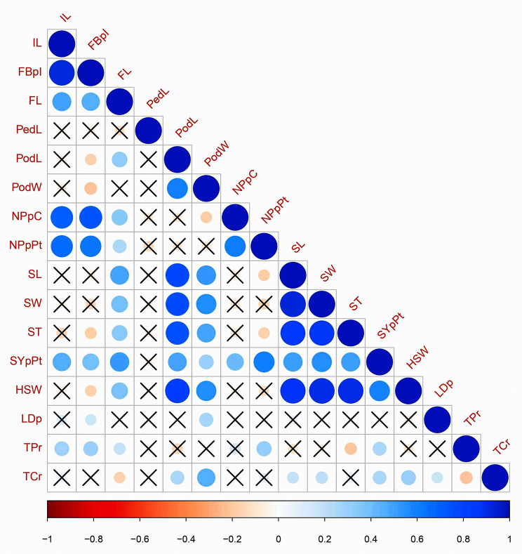 Association mapping of important agronomic traits in Mucuna pruriens (L.) DC.