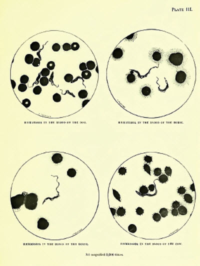 Abstract Image