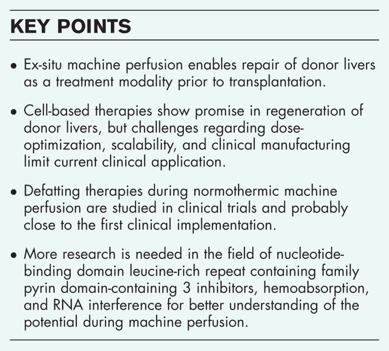 Graft repair during machine perfusion: a current overview of strategies.