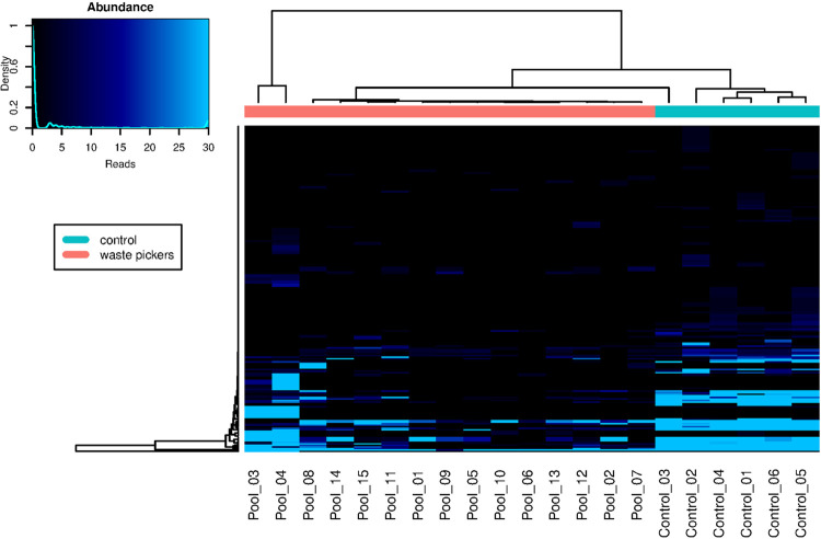 Unveiling microbial worlds: exploring viral metagenomics among waste pickers at Latin America's largest dumpsite.