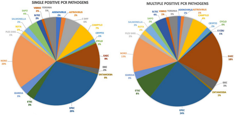 Risk factors and clinical outcomes associated with multiple as opposed to single pathogens detected on the gastrointestinal disease polymerase chain reaction assay.