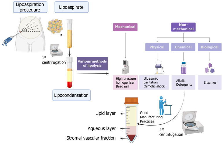 Understanding and controlling the variables for stromal vascular fraction therapy.