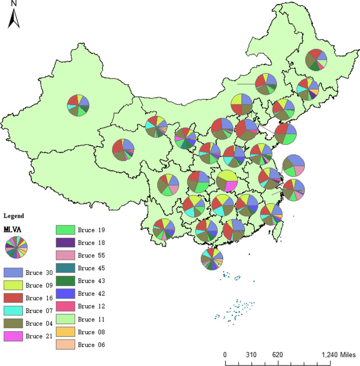 Analysis of the Brucella melitensis epidemic in Xinjiang: genotyping, polymorphism, antibiotic resistance and tracing.