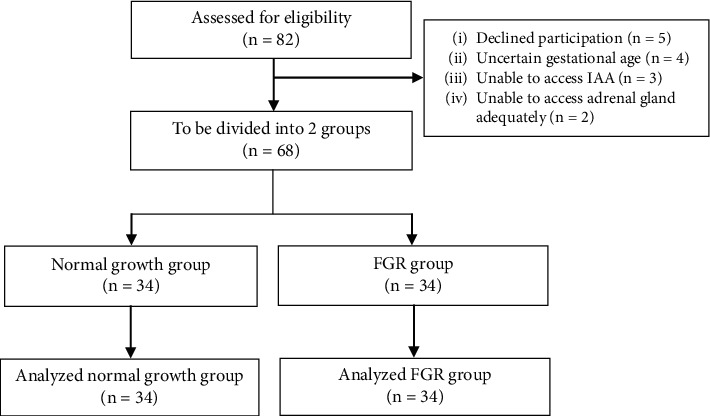 The Impact of Fetal Growth Restriction on Prenatal 2D Ultrasound and Doppler Study of the Fetal Adrenal Gland.