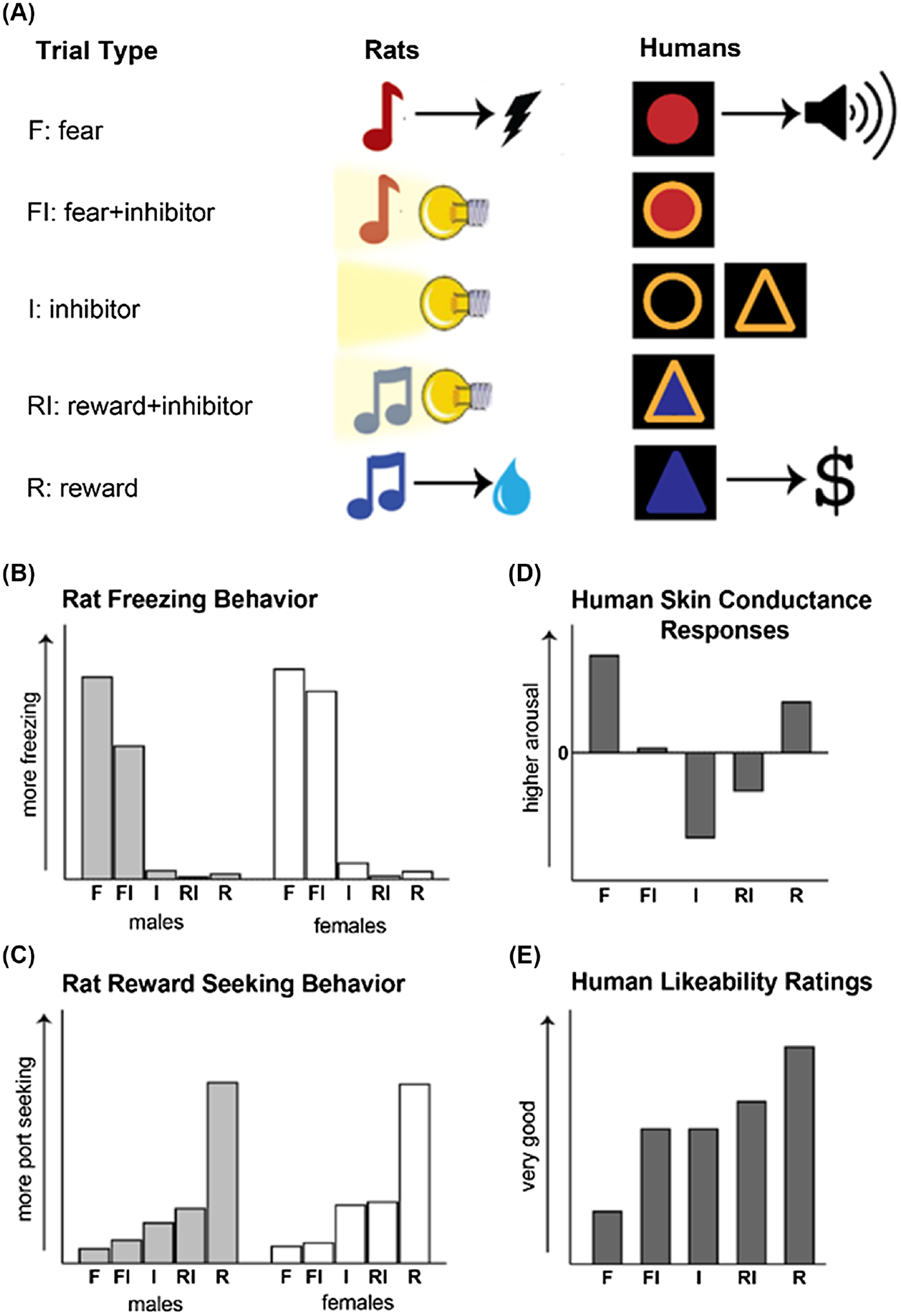 Translational approaches to the neurobiological study of conditional discrimination and inhibition: Implications for psychiatric disease.