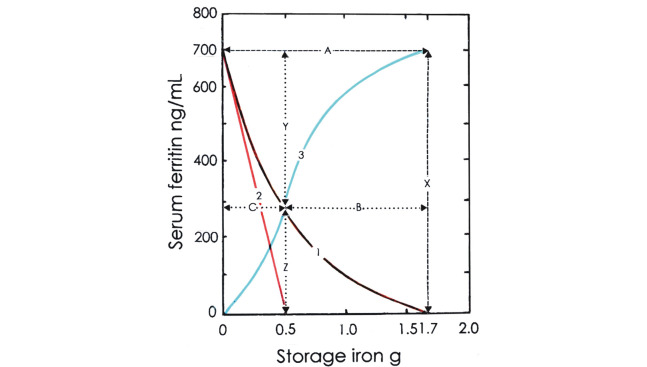 Nature of storage iron turnover.