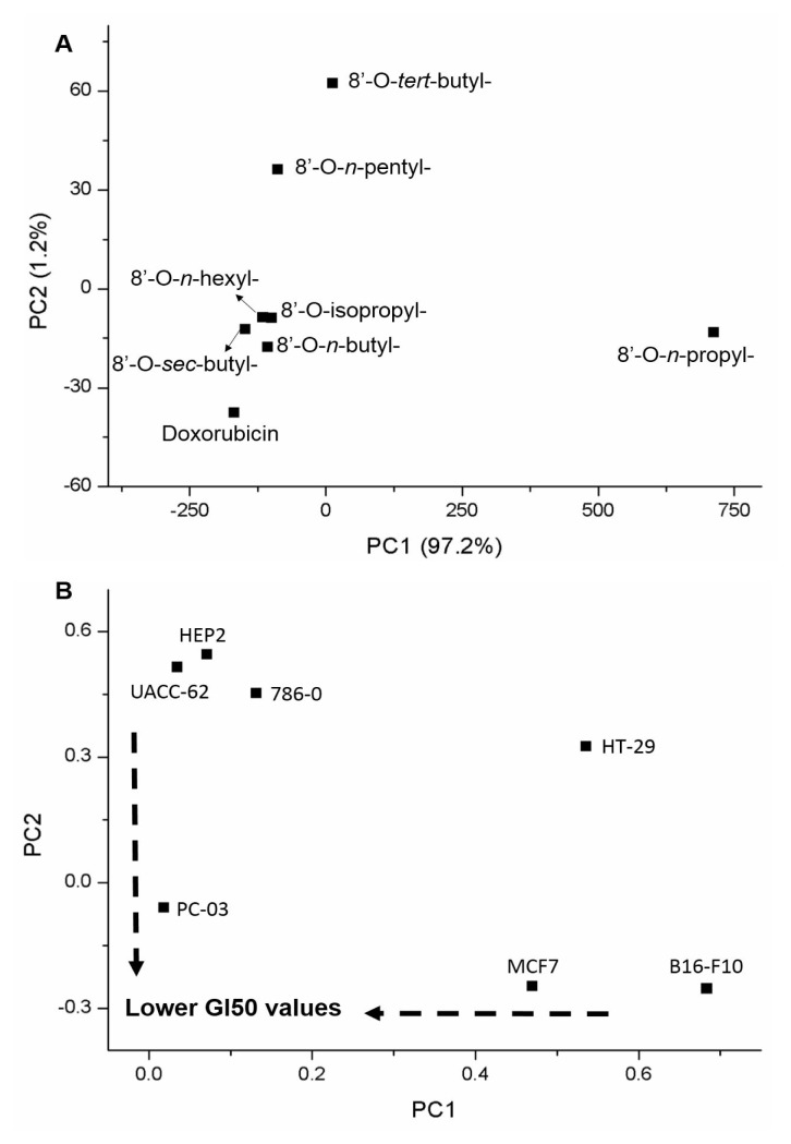 Cytotoxicity of norstictic acid derivatives, a depsidone from <i>Ramalina anceps</i> Nyl.