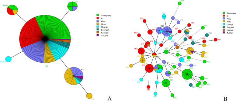 Analysis of the Brucella melitensis epidemic in Xinjiang: genotyping, polymorphism, antibiotic resistance and tracing.