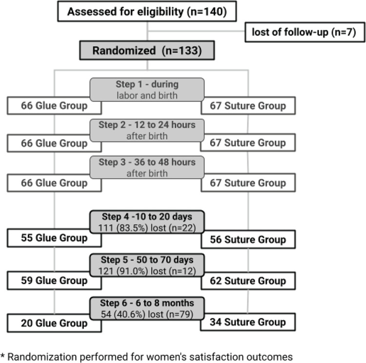 Repercussions of perineal repair using surgical glue or suture thread on postpartum outcomes: A controlled randomized clinical trial in São Paulo, Brazil.