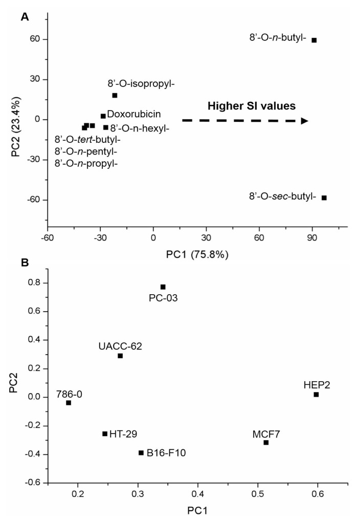 Cytotoxicity of norstictic acid derivatives, a depsidone from <i>Ramalina anceps</i> Nyl.