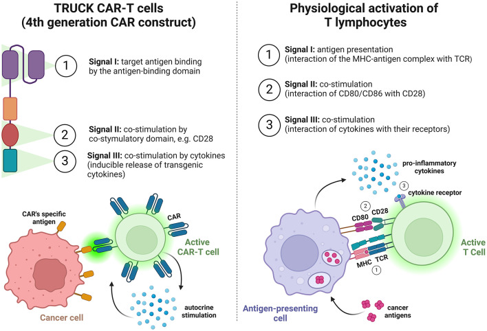 Abstract Image
