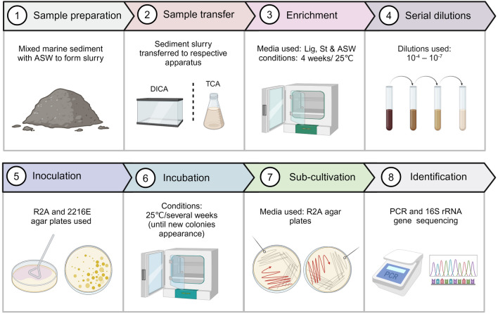 A diffusion-based integrative approach for culturing previously uncultured bacteria from marine sediments.