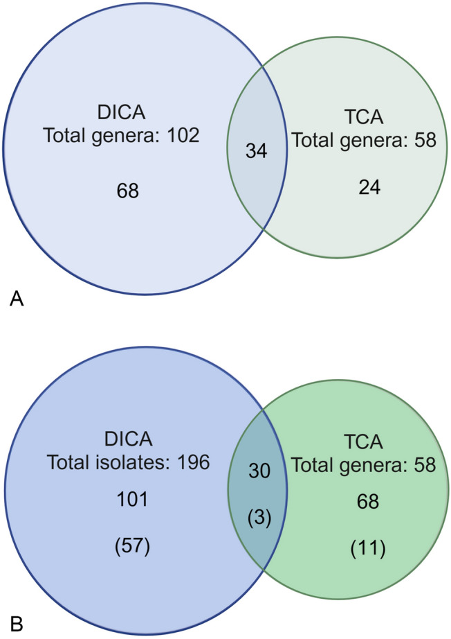 A diffusion-based integrative approach for culturing previously uncultured bacteria from marine sediments.