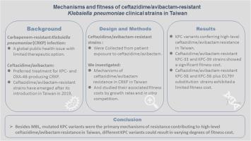 Mechanisms and fitness of ceftazidime/avibactam-resistant Klebsiella pneumoniae clinical strains in Taiwan