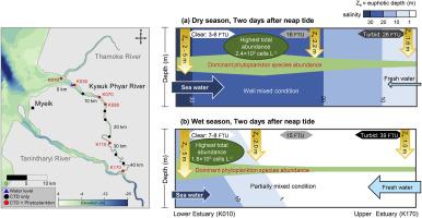 Effect of fortnightly and seasonal changes in estuarine physical variables on phytoplankton distribution in a macrotidal monsoon estuary