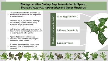 Bioregenerative dietary supplementation in space: Brassica rapa var. nipposinica and other Brassica cultivars