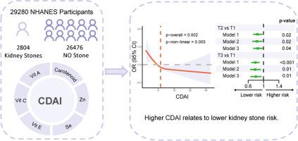 High composite dietary antioxidant index is associated with reduced risk of kidney stones: a cross-sectional analysis of NHANES 2007-2020