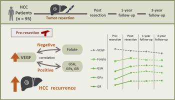 Vascular endothelial growth factor is associated with hepatocellular carcinoma recurrence, independent of folate and glutathione-related antioxidant enzymes: A follow-up study