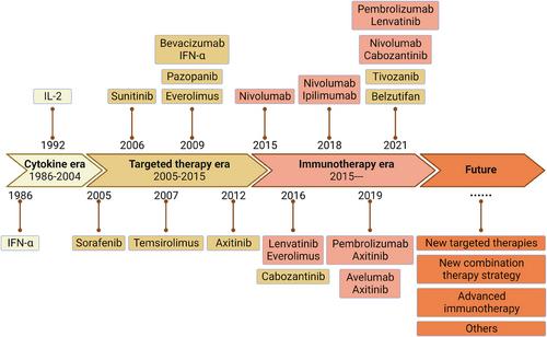 Renal cancer: signaling pathways and advances in targeted therapies