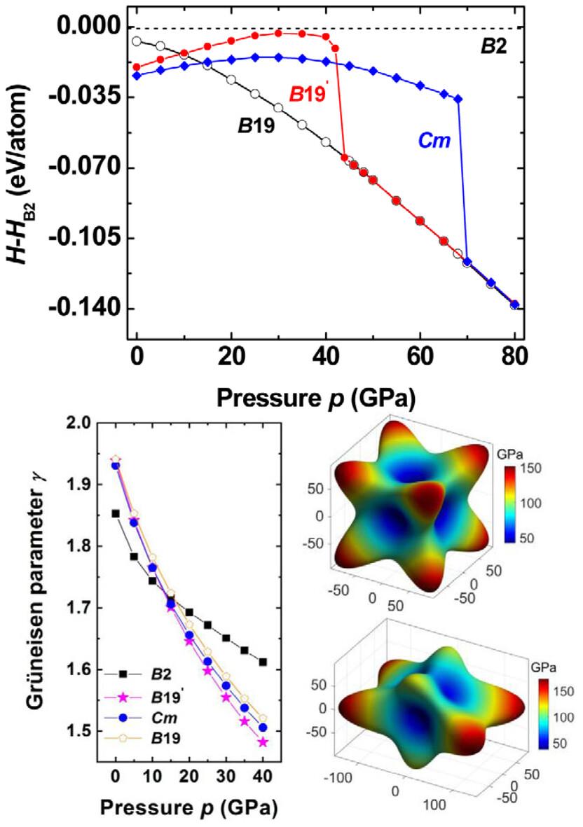 Effect of pressure on the phase stability, elastic anisotropy, and physical properties of CuZr structures