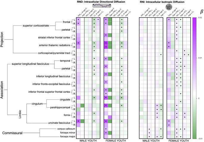 Exposure to multiple ambient air pollutants changes white matter microstructure during early adolescence with sex-specific differences