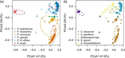 Niche breadth and divergence in sympatric cryptic coral species (Pocillopora spp.) across habitats within reefs and among algal symbionts