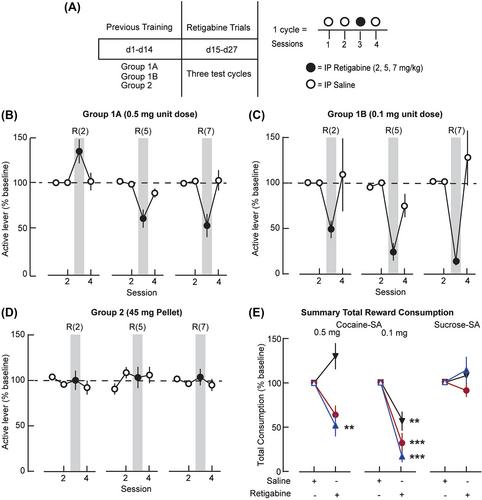 Kv7 channel opener retigabine reduces self-administration of cocaine but not sucrose in rats