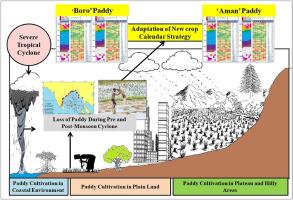 Threats of tropical cyclone on cropping systems and crop calendar of rice in India: Issues, policy practice gap and adaptation strategies